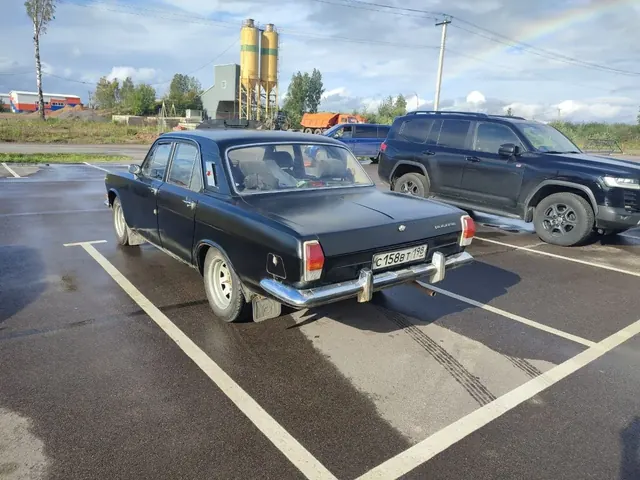 ГАЗ Волга ГАЗ 24 1981 — фото 3